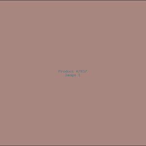 Example Product 7837