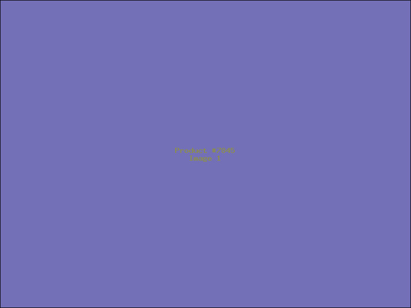Example Product 7845