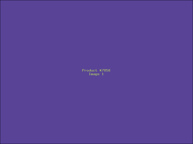 Example Product 7858