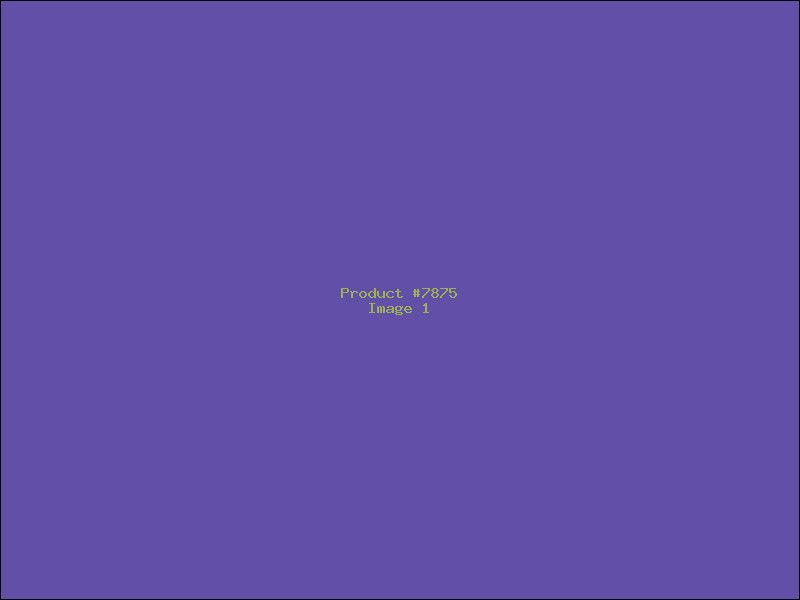 Example Product 7875