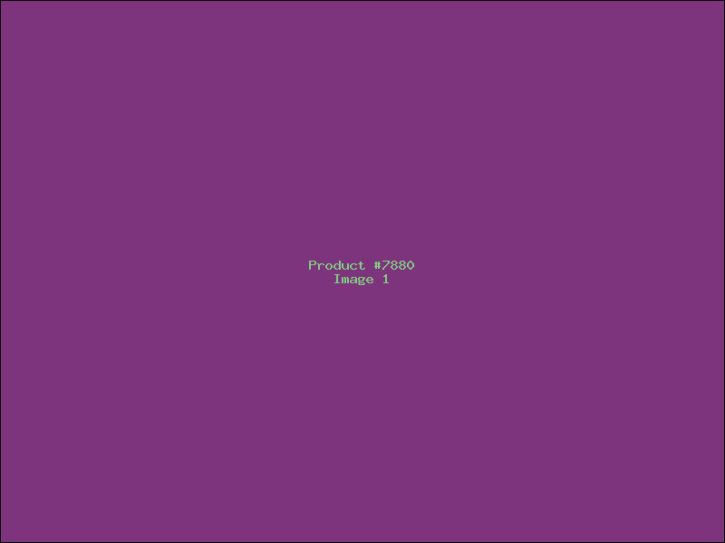 Example Product 7880