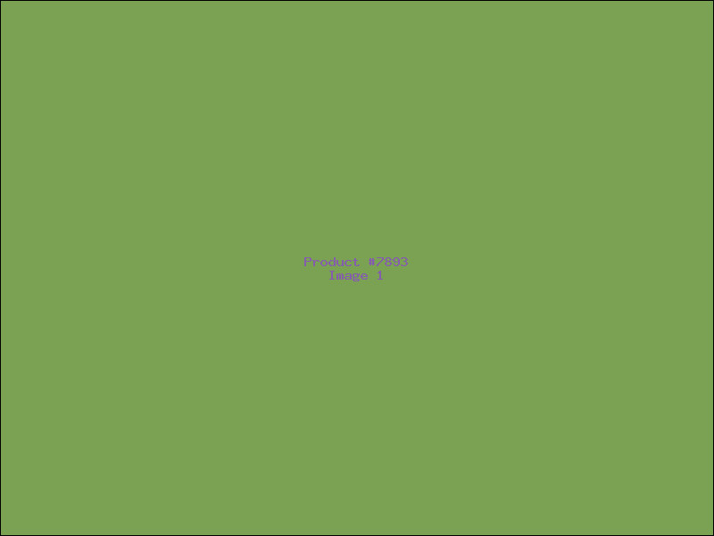 Example Product 7893