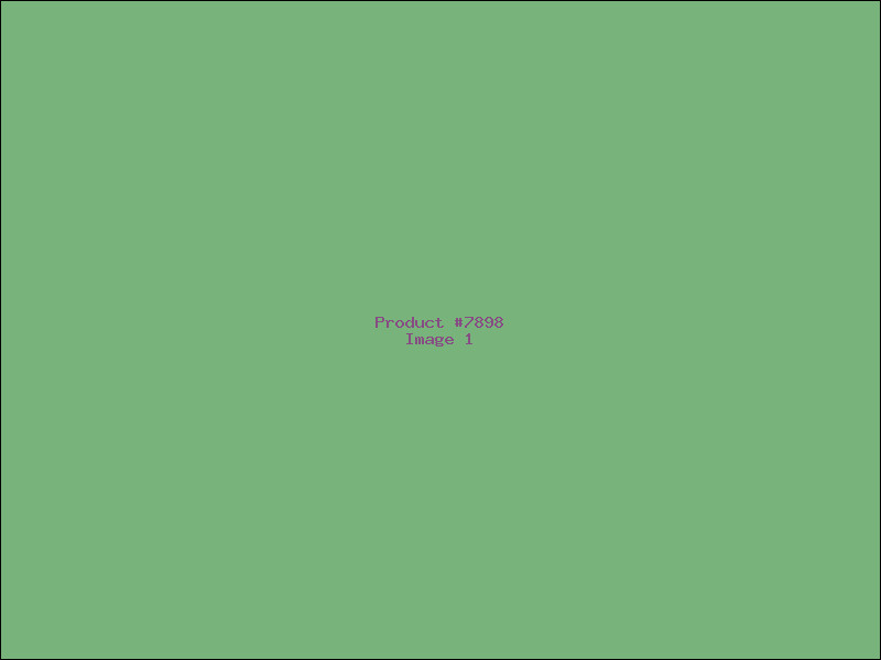 Example Product 7898