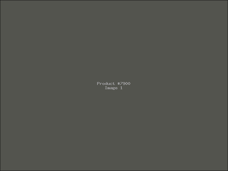 Example Product 7900