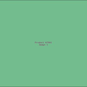Example Product 7901