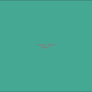 Example Product 7904