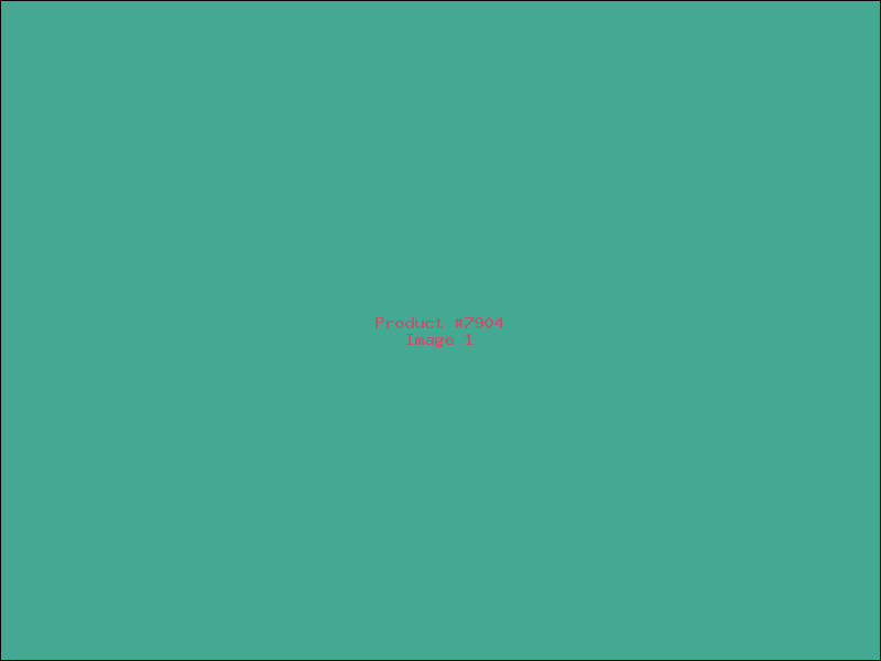 Example Product 7904