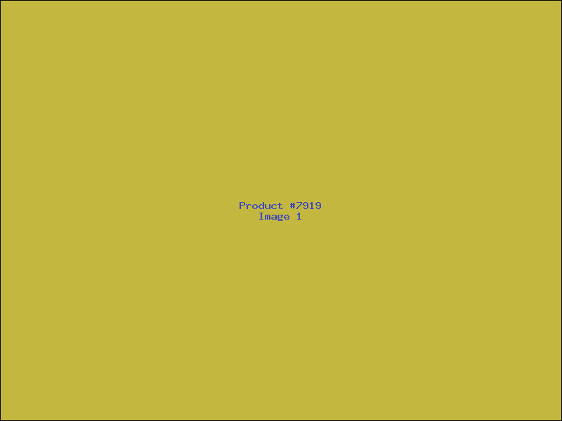 Example Product 7919