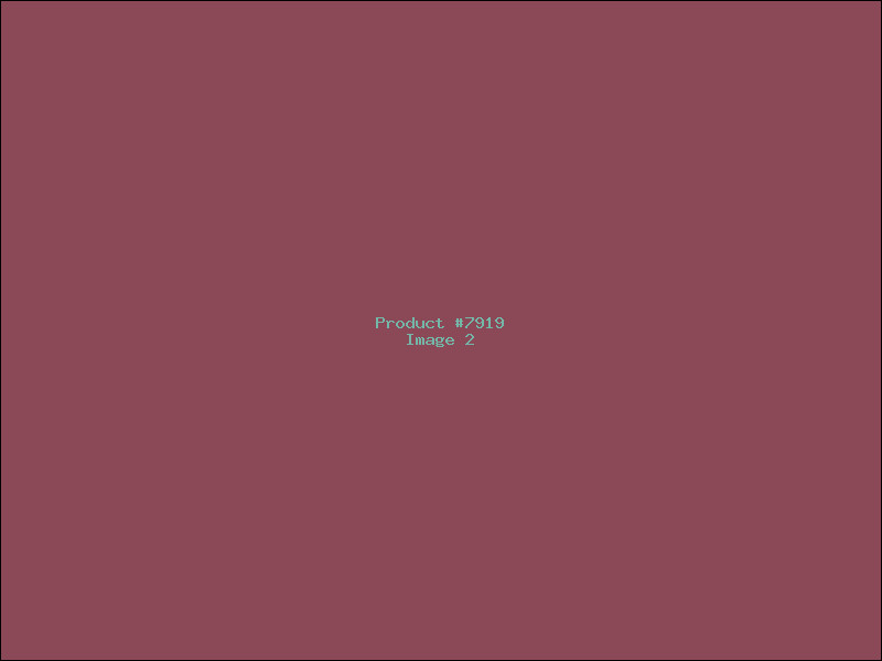 Example Product 7919 - Image 2