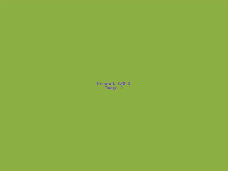 Example Product 7920 - Image 2