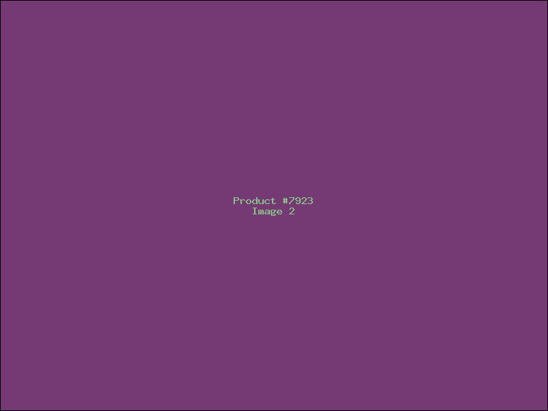 Example Product 7923 - Image 2