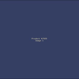 Example Product 7925