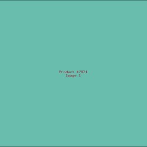 Example Product 7931