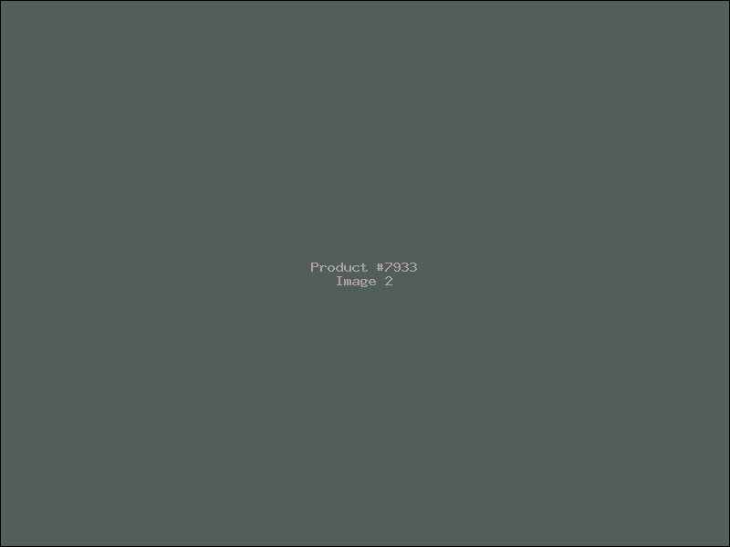 Example Product 7933 - Image 2