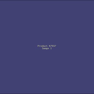 Example Product 7937