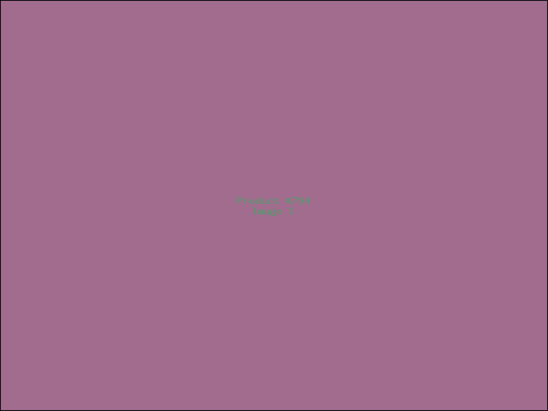 Example Product 794