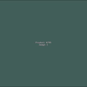 Example Product 795