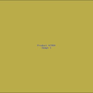 Example Product 7950
