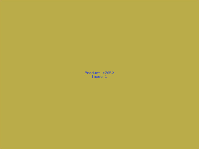 Example Product 7950