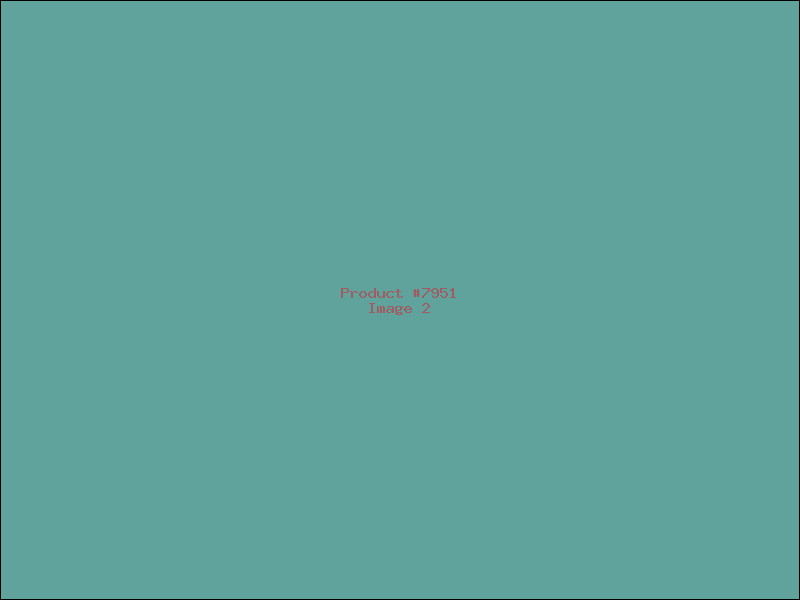 Example Product 7951 - Image 2