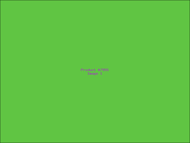 Example Product 7955