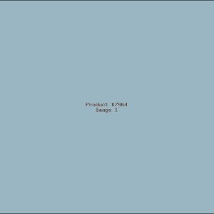 Example Product 7964