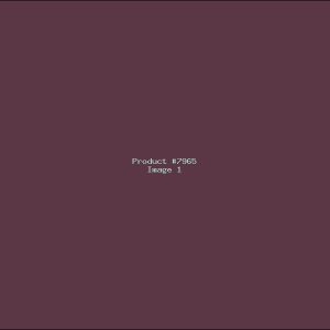 Example Product 7965