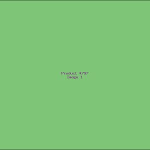 Example Product 797