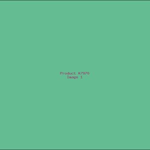 Example Product 7970