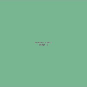 Example Product 7971
