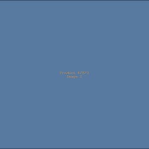 Example Product 7973