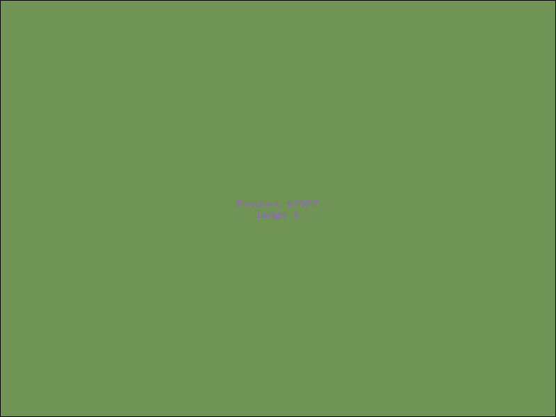 Example Product 7977