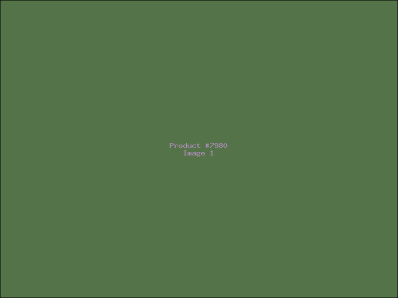 Example Product 7980