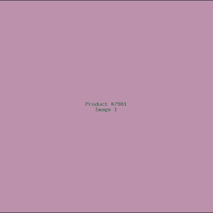 Example Product 7981