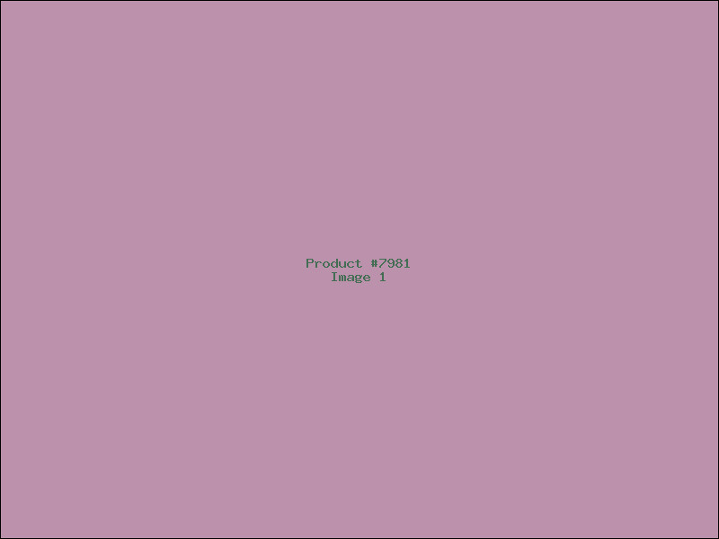 Example Product 7981