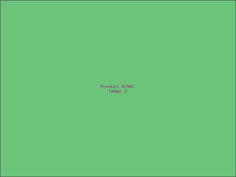 Example Product 7981 - Image 2