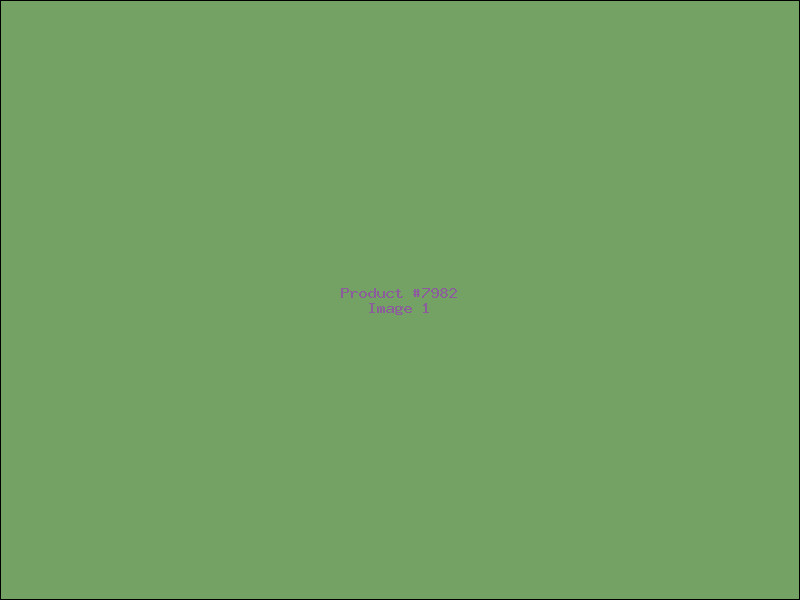 Example Product 7982