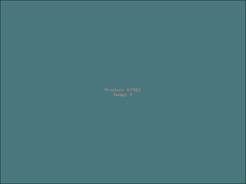 Example Product 7982 - Image 2