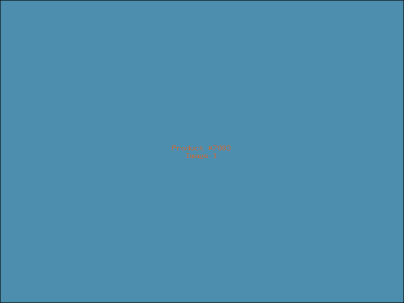 Example Product 7983