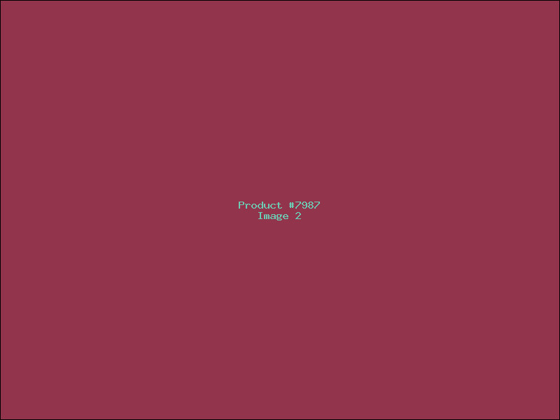 Example Product 7987 - Image 2