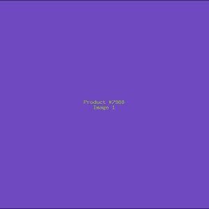 Example Product 7988
