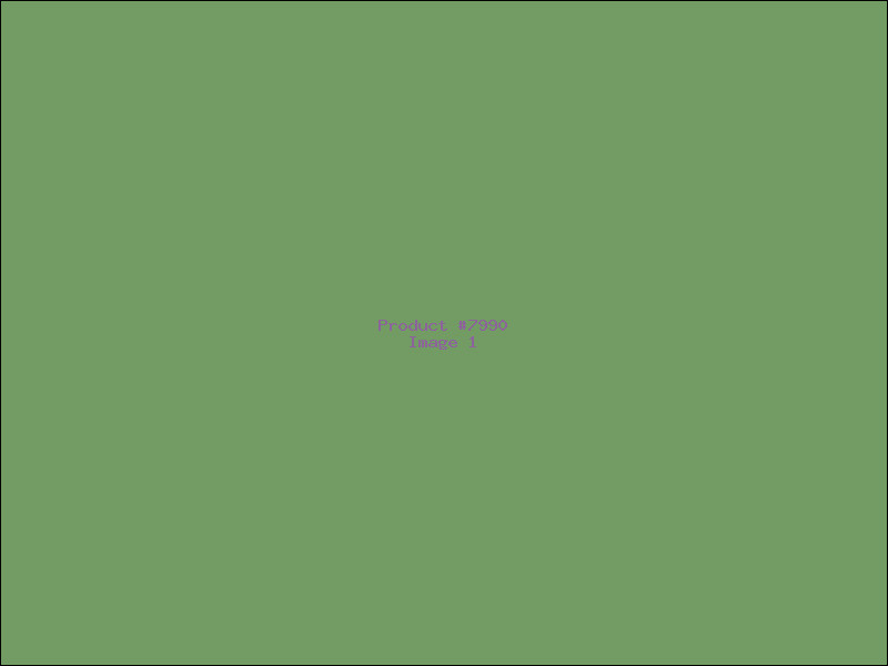 Example Product 7990
