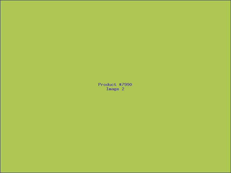 Example Product 7990 - Image 2
