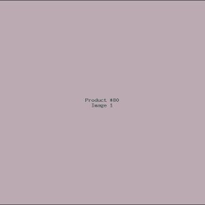 Example Product 80