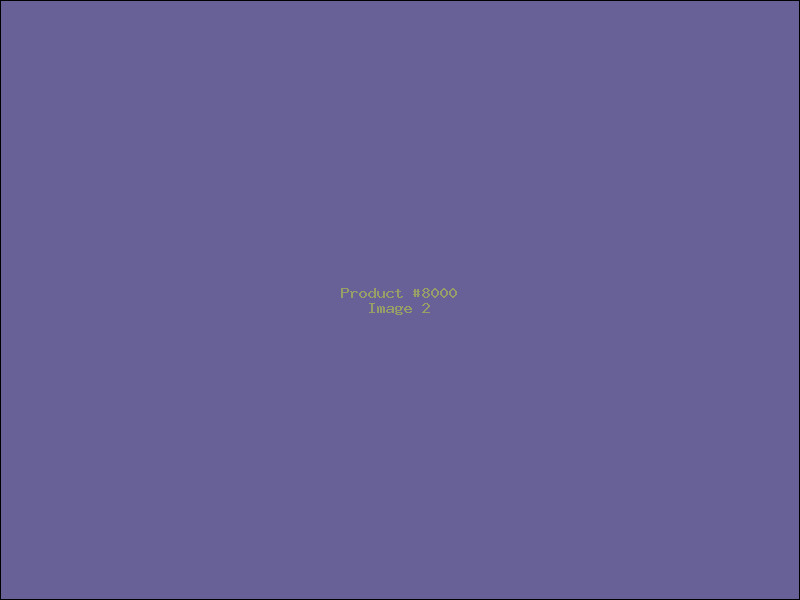 Example Product 8000 - Image 2