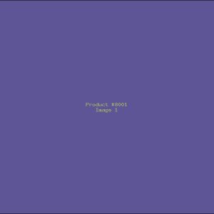 Example Product 8001