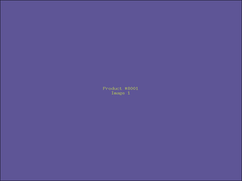 Example Product 8001