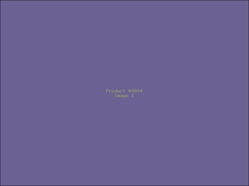 Example Product 8004