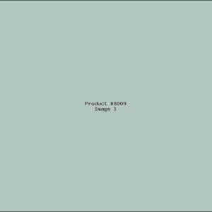 Example Product 8009
