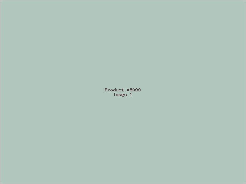 Example Product 8009